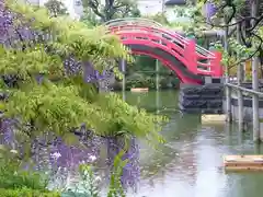 亀戸天神社の景色