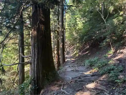 愛宕神社(京都府)