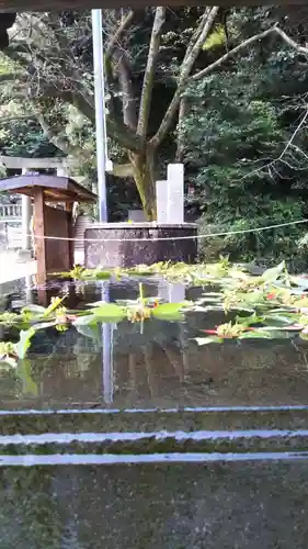前玉神社の手水舎