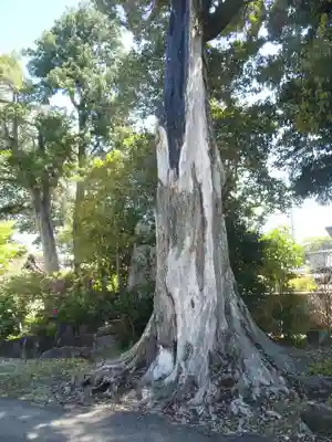 善宿寺(愛知県)