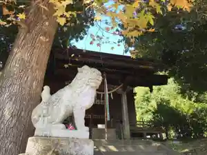 鹿島台神社の狛犬(2020年11月11日(水) 12時31分08秒投稿)
