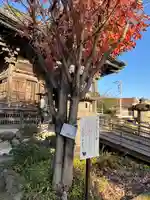 秩父札所十三番 慈眼寺(埼玉県)