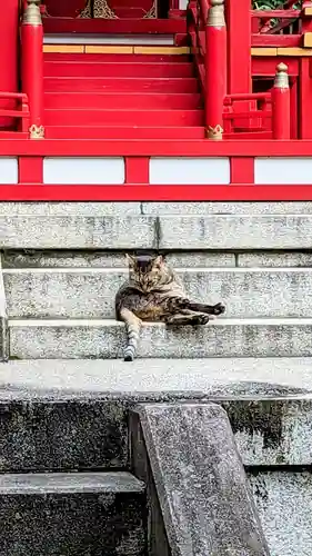 白金氷川神社の動物