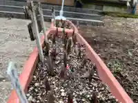 大宮温泉神社の自然