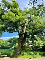 親之井稲荷(尊)跡(東京都)