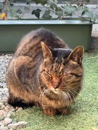 露天神社（お初天神）(大阪府)