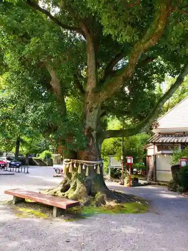橘神社(長崎県)