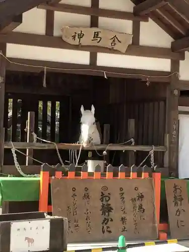 賀茂別雷神社（上賀茂神社）の動物