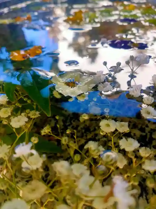 八雲神社(栃木県)