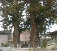 東禅寺(福島県)