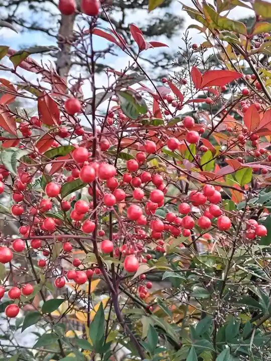 開成山大神宮(福島県)