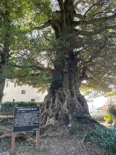 天城神社(静岡県)
