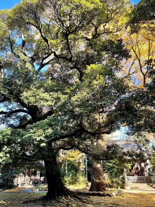 長崎神社(東京都)