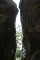 阿賀神社の自然