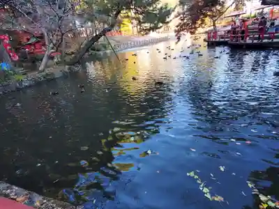 間々田八幡宮(栃木県)