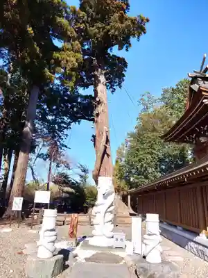 八幡宮(茨城県)