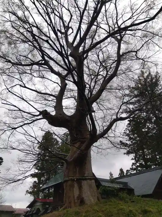 大和神社(新潟県)