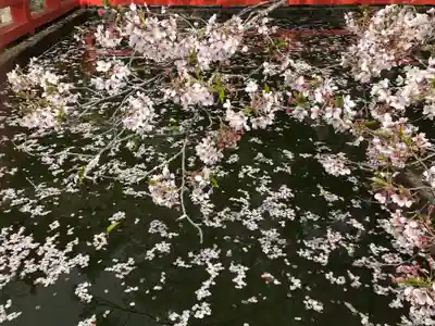 金剛宝寺（紀三井寺）(和歌山県)