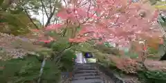 出雲大神宮の自然