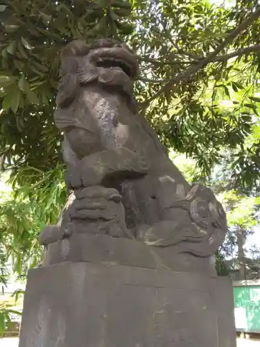 太子堂八幡神社の狛犬