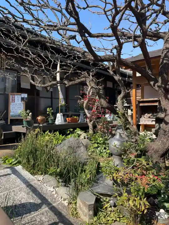 海蔵院の{uncategorized: "未分類", other: "その他", undefined: "問題あり", building: "その他建物", grave: "お墓", sacred_gate: "鳥居", guardian: "狛犬", statue: "像", buddha: "仏像", history: "歴史", nature: "自然", garden: "庭園", animal: "動物", pagoda: "塔", temizu: "手水舎", mountain_gate: "山門・神門", sanctuary: "本殿・本堂", subordinate: "末社・摂社", art: "芸術", scenery: "景色", jizo: "地蔵", ema: "絵馬", goshuin: "御朱印", omikuji: "おみくじ", items: "授与品その他", amulet: "お守り", goshuincho: "御朱印帳", eats: "食事", festival: "お祭り", votive_dance: "神楽", shichigosan: "七五三参", wedding: "結婚式", experience: "体験その他", initially: "初詣", around: "周辺", anti_infection: "感染症対策"}