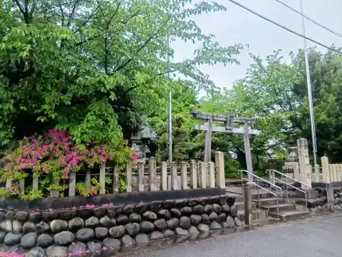 白山神社の{uncategorized: "未分類", other: "その他", undefined: "問題あり", building: "その他建物", grave: "お墓", sacred_gate: "鳥居", guardian: "狛犬", statue: "像", buddha: "仏像", history: "歴史", nature: "自然", garden: "庭園", animal: "動物", pagoda: "塔", temizu: "手水舎", mountain_gate: "山門・神門", sanctuary: "本殿・本堂", subordinate: "末社・摂社", art: "芸術", scenery: "景色", jizo: "地蔵", ema: "絵馬", goshuin: "御朱印", omikuji: "おみくじ", items: "授与品その他", amulet: "お守り", goshuincho: "御朱印帳", eats: "食事", festival: "お祭り", votive_dance: "神楽", shichigosan: "七五三参", wedding: "結婚式", experience: "体験その他", initially: "初詣", around: "周辺", anti_infection: "感染症対策"}