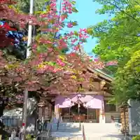 彌彦神社 (伊夜日子神社)の自然
