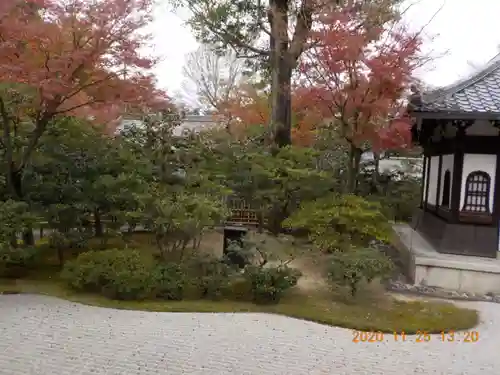 建仁寺（建仁禅寺）の庭園