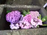 河内阿蘇神社(熊本県)