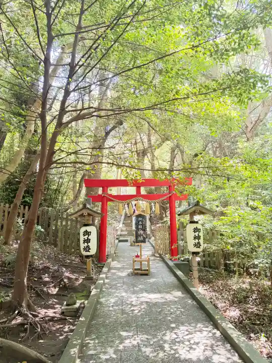 伊古奈比咩命神社(静岡県)
