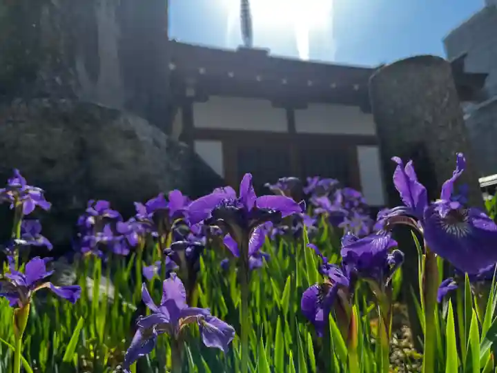 松本山 地福禅寺(滋賀県)