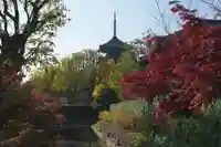 東寺(教王護国寺)(京都府)