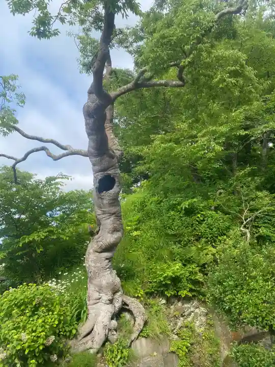 上ノ國八幡宮(北海道)