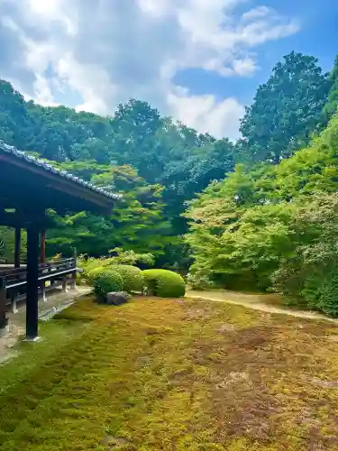 隨心院（随心院）(京都府)