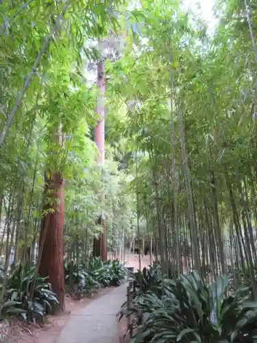 浄智寺の庭園