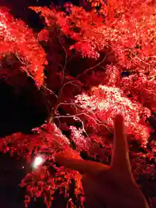 龍興山神社(青森県)(2021年11月01日(月) 11時33分06秒投稿)