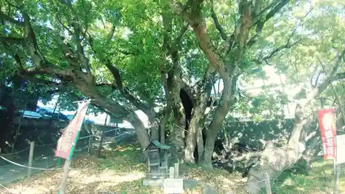 大智院（清水寺大智院）の自然