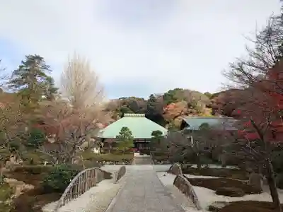 浄妙寺(神奈川県)