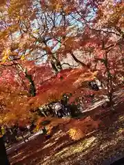 東福禅寺（東福寺）(京都府)