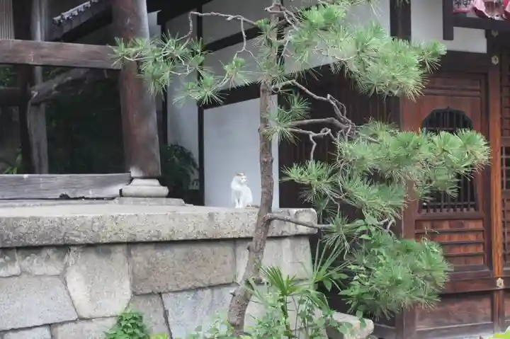 行願寺(革堂)(京都府)