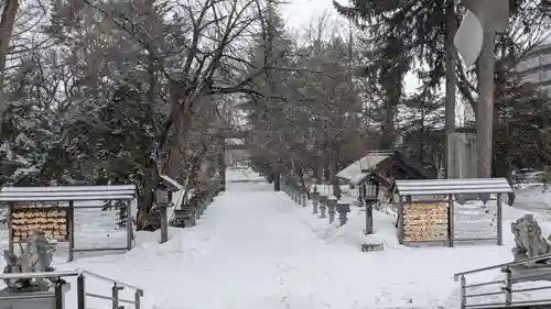 信濃神社の景色