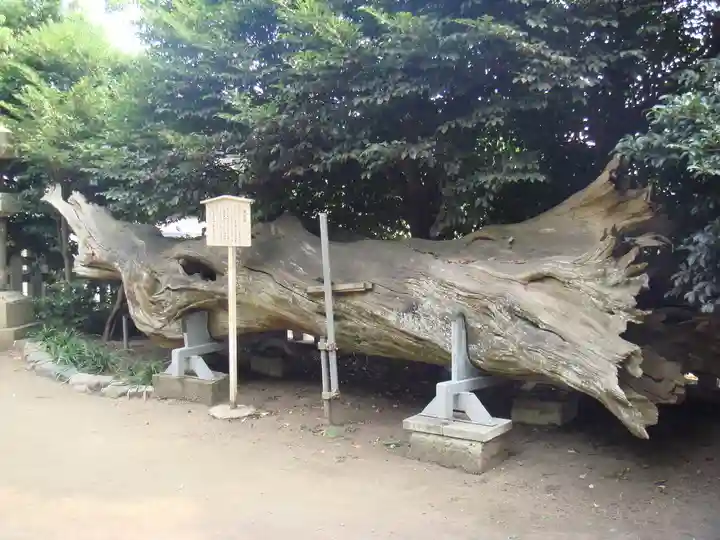 瀬戸神社の自然