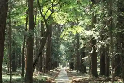 鹿島神社(茨城県)