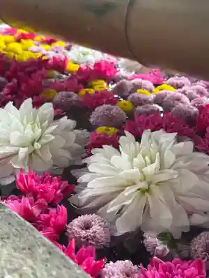 群馬県護国神社(群馬県)