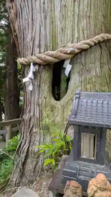 阿久津「田村神社」（郡山市阿久津町）旧社名：伊豆箱根三嶋三社(福島県)