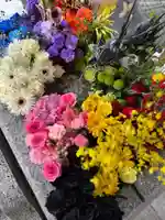 札幌諏訪神社の庭園