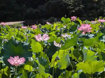 霊泉寺(岐阜県)