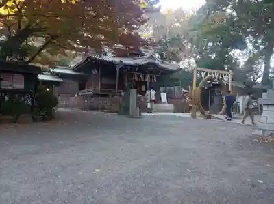 代々木八幡宮の本殿・本堂