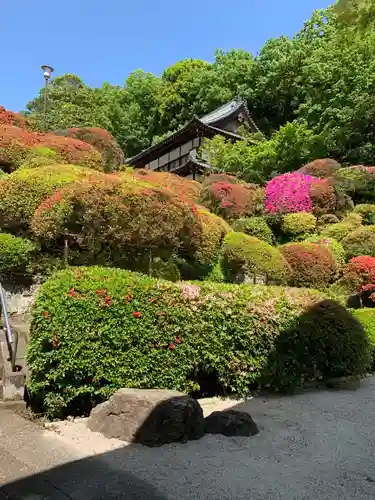 等覚院の庭園