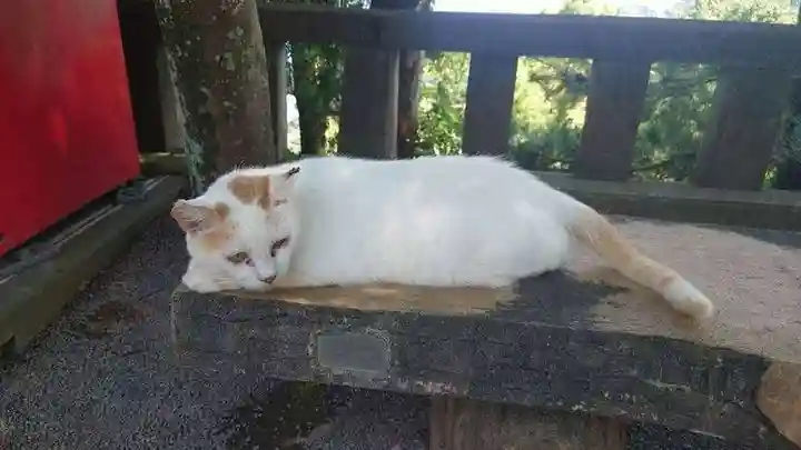 伊豆山神社(静岡県)